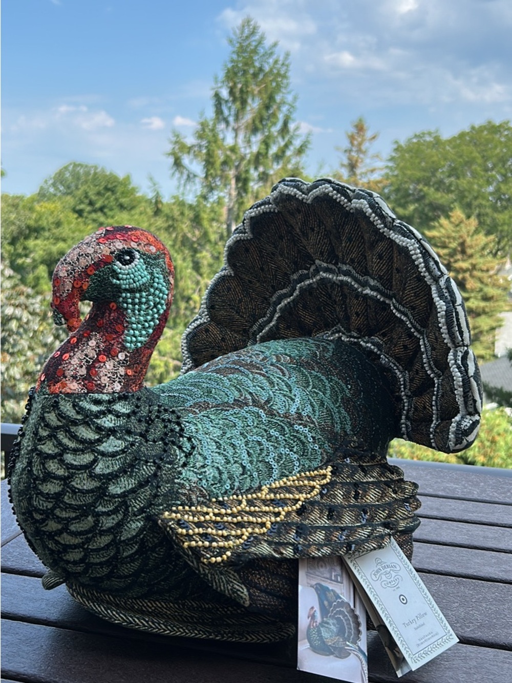John Derian for
Target Turkey Pillow - Brand New with Tags